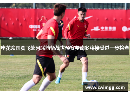申花众国脚飞赴阿联酋备战世预赛费南多将接受进一步检查