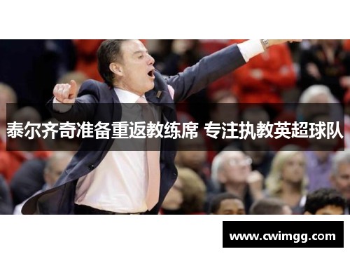 泰尔齐奇准备重返教练席 专注执教英超球队